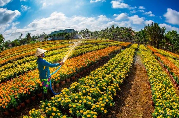 Du lịch nông thôn, cần lắm các mô hình mẫu
