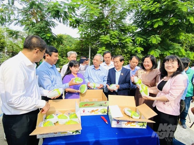 Xuất khẩu 7 tấn xoài tượng da xanh đầu tiên sang Úc và Mỹ
