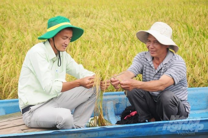 Tăng lúa hữu cơ, nuôi trồng thủy sản, giảm khai thác hải sản