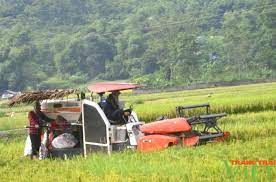 Người dân Kim Bôi nâng cao hiệu quả sản xuất nhờ cơ giới hóa nông nghiệp