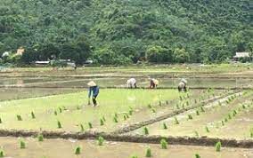 Hội Nông tỉnh Hòa Bình đề ra 12 chỉ tiêu trong năm 2024