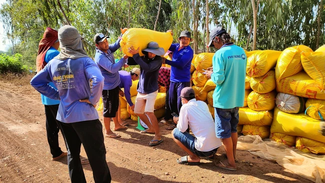 Giá gạo Việt Nam lên đỉnh lịch sử, 5 doanh nghiệp nào xuất khẩu nhiều gạo nhất năm 2023?