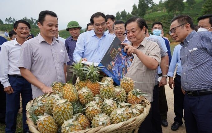 Sức bật của nông nghiệp Lào Cai năm 2023