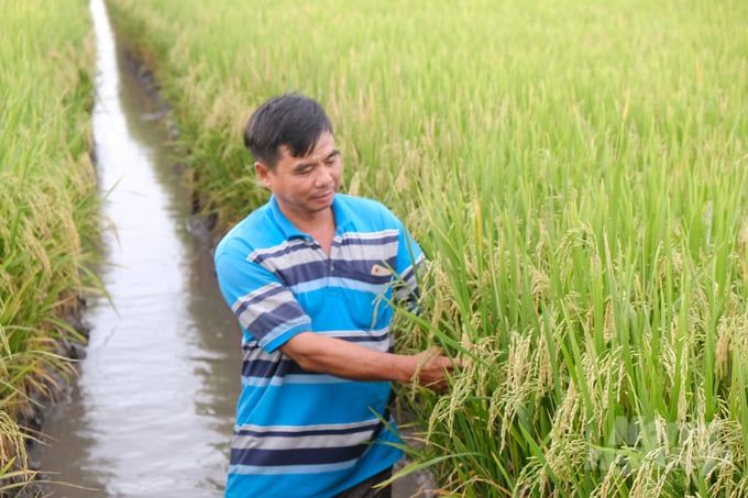 Việt Nam nhập khẩu trên 90% hạt giống rau, hoa mỗi năm