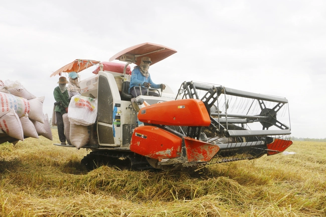Các nước đổ xô đến Việt Nam mua lương thực, lần đầu tiên, Việt Nam xuất khẩu 8,2 triệu tấn gạo
