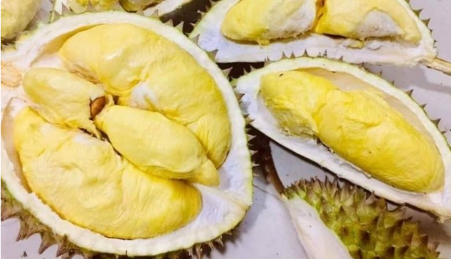 Giá sầu riêng ngày 15/1: Sầu Thái, sầu riêng Ri6 lại tăng giá đồng loạt