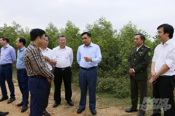 Đề án Một tỷ cây xanh vượt kế hoạch đề ra