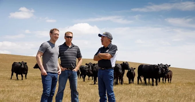 Nuôi bò bằng hạt mắc ca và bia, tỷ phú Mark Zuckerberg nhận nhiều chỉ trích