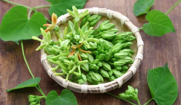 Bất ngờ lợi ích của hoa thiên lý, ăn hoa thiên lý chữa bệnh gì?