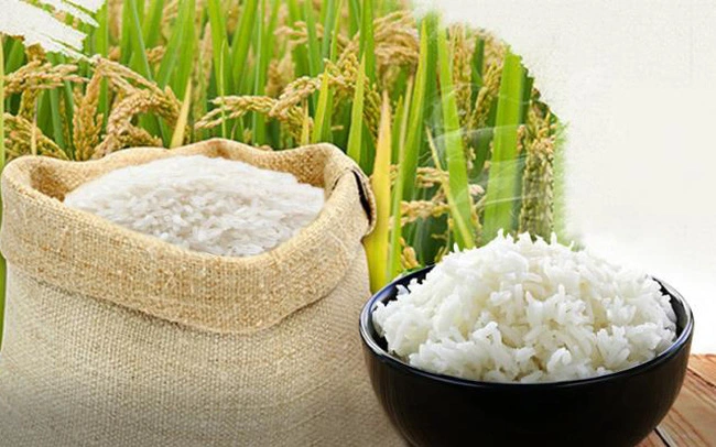 Giá lúa gạo ngày 23/1: Giá lúa trong nước giảm mạnh