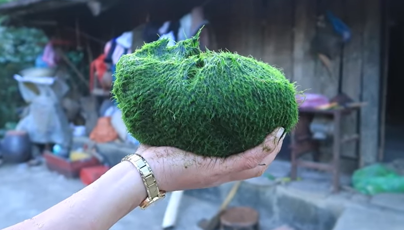 Kỳ lạ rêu suối - Món ăn độc đáo được ví như 