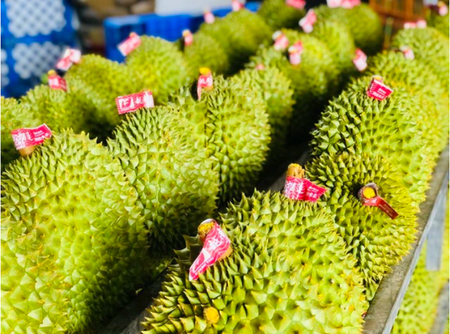 Giá sầu riêng ngày 29/1: Sầu riêng Thái, sầu Ri6 đều đồng loạt tăng cao, cao nhất là 187.000 đồng/kg