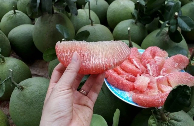 Thực phẩm nào ăn vào buổi sáng tốt cho gan?