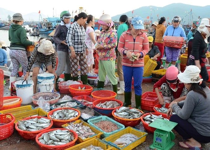 Nguồn cung dồi dào, người dân không lo thiếu hải sản dịp Tết