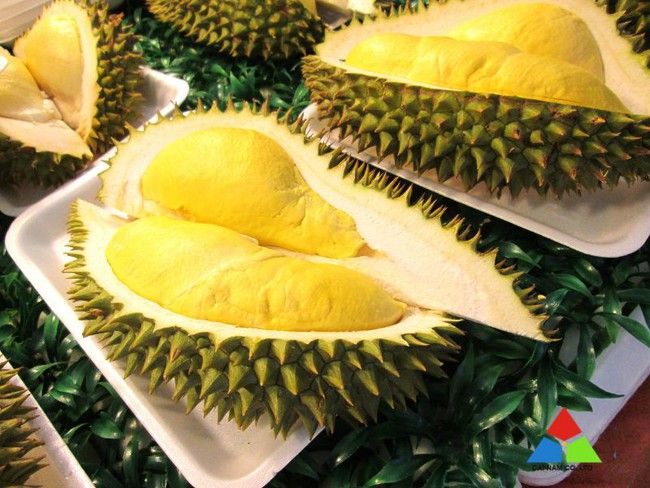 Giá sầu riêng hôm nay 6/2: Tăng mạnh tại nhà vườn Tây Nam bộ là loại sầu riêng Ri6, đạt 130.000 đồng/kg