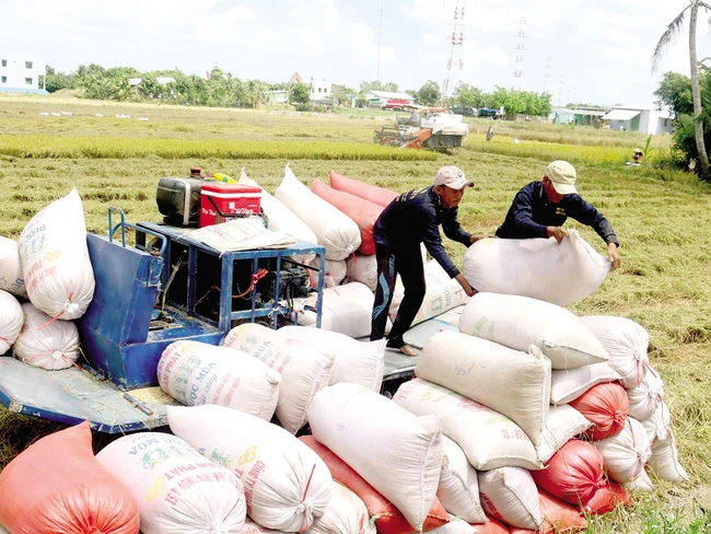 Gạo, sầu riêng, vú sữa... đón hàng loạt tin vui, xuất khẩu nông sản năm 2024 được dự báo bùng nổ
