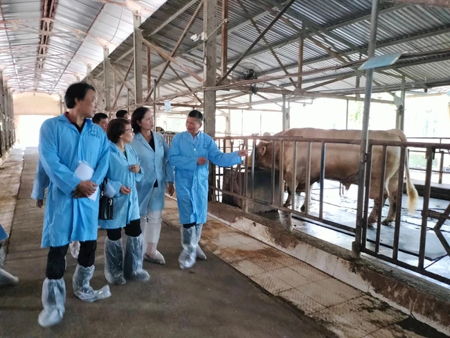 Công ty CP Giống gia súc - điểm sáng trong bức tranh sản xuất giống vật nuôi chất lượng cao của Thủ đô