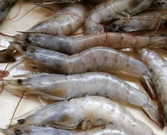 Đi chợ gặp 6 loại tôm này, giá rẻ đến mấy cũng không nên mua