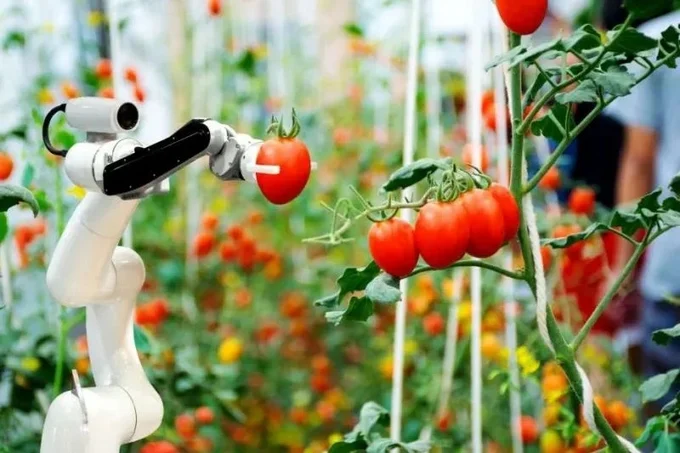 Robot nông nghiệp phát triển mạnh ở Trung Quốc