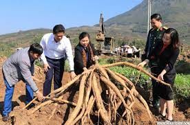 Bí thư Tỉnh ủy Lai Châu Giàng Páo Mỷ kiểm tra hoạt động lao động sản xuất đầu xuân