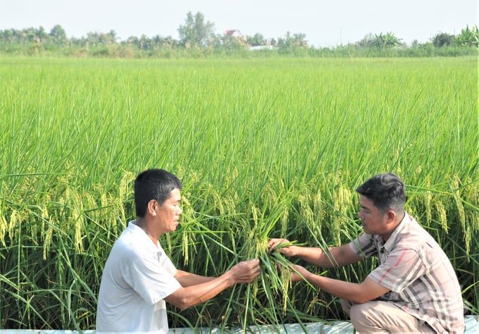 Chủ động ứng phó với hạn hán, xâm nhập mặn trong cao điểm mùa khô