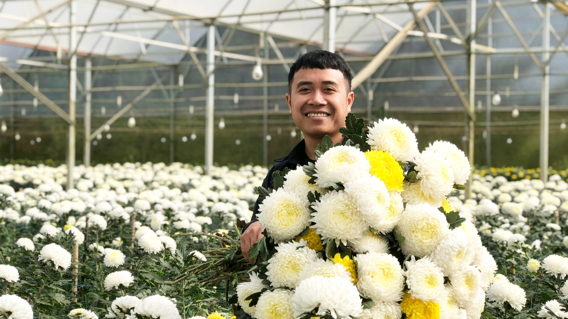 Tại sao nói, chuyển đổi số trong trồng hoa là tương lai của ngành hoa, xuất khẩu hoa tốt hơn ở Lâm Đồng?