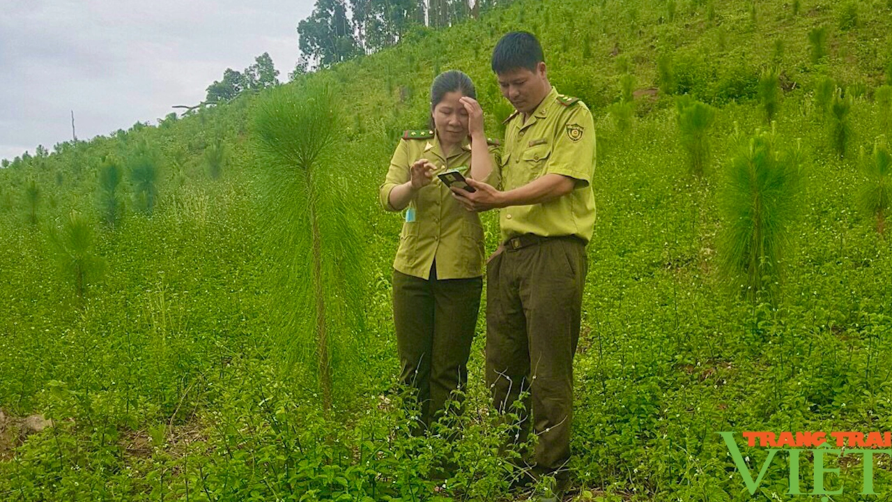 Kiểm lâm Sơn La: Làm tốt công tác bảo vệ và phát triển rừng
