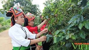Hội viên nông dân tích cực tham gia xây dựng nông thôn mới kiểu mẫu nơi vùng cao