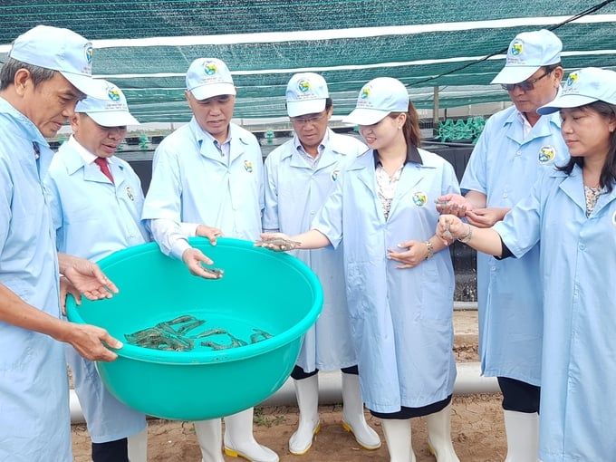 Bạc Liêu hướng đến giá trị kim ngạch xuất khẩu tôm 1,7 tỷ USD