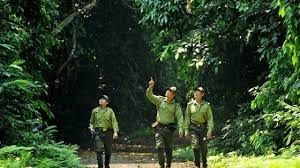 Chung tay vì một ngành lâm nghiệp xanh, bền vững, hiện đại