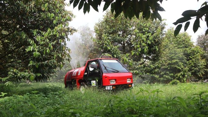Sầu riêng Bình Phước chinh phục thị trường thế giới