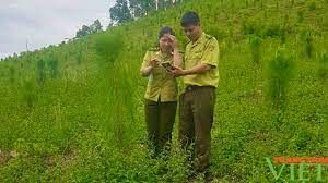 Kiểm lâm Sơn La: Làm tốt công tác bảo vệ và phát triển rừng ở Sơn La