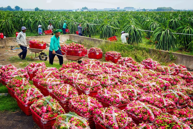 Các mặt hàng nông lâm thủy sản chủ lực đều đạt giá trị xuất khẩu cao