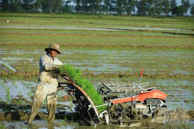 Những người viết nên câu chuyện lúa hữu cơ vùng đất lửa