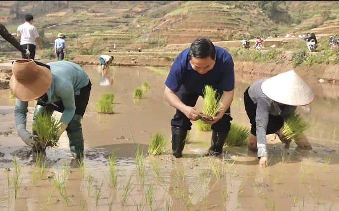 Nông dân Yên Bái hối hả xuống đồng gieo cấy lúa xuân thu