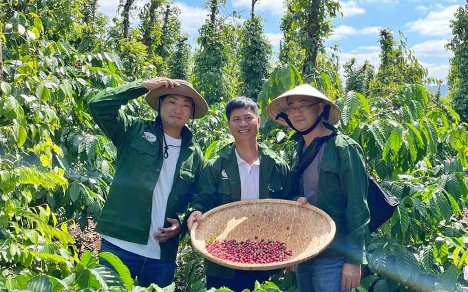 Tạo 4 nguồn thu nhờ kiên trì theo đuổi cà phê hữu cơ