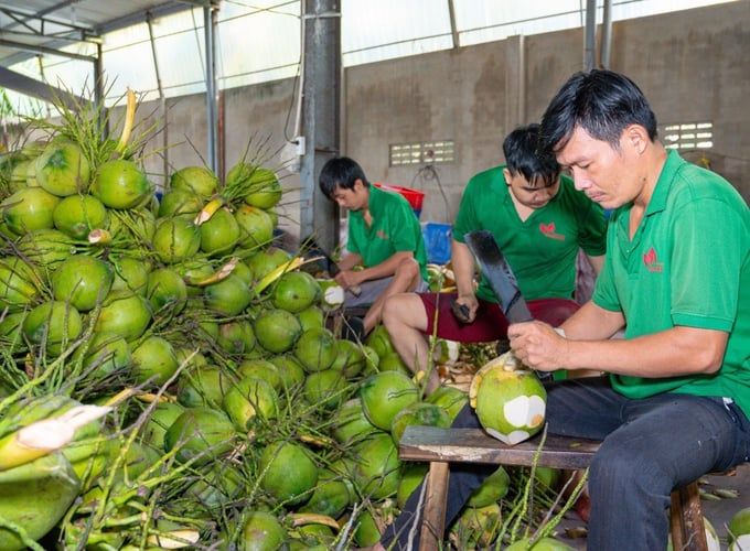 Doanh nghiệp xuất khẩu trái cây tăng tốc ngay từ đầu năm