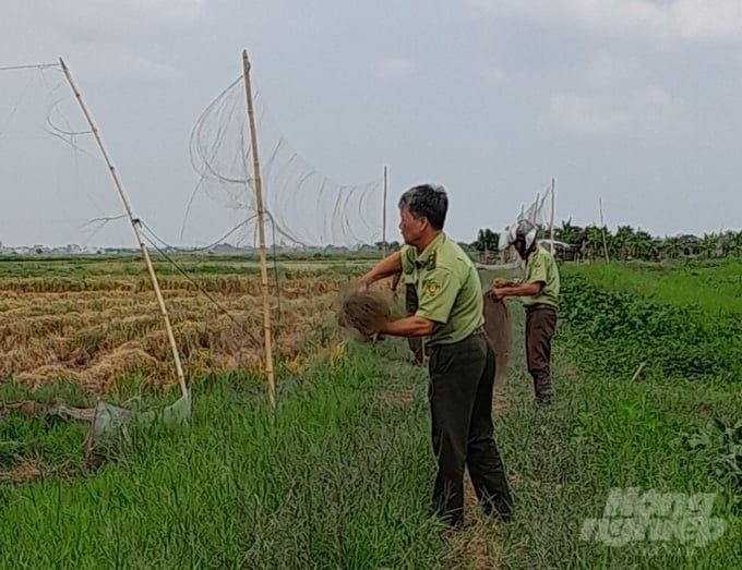 Nam Định đã truy quét 'đầu nậu' buôn bán, vận chuyển chim hoang dã
