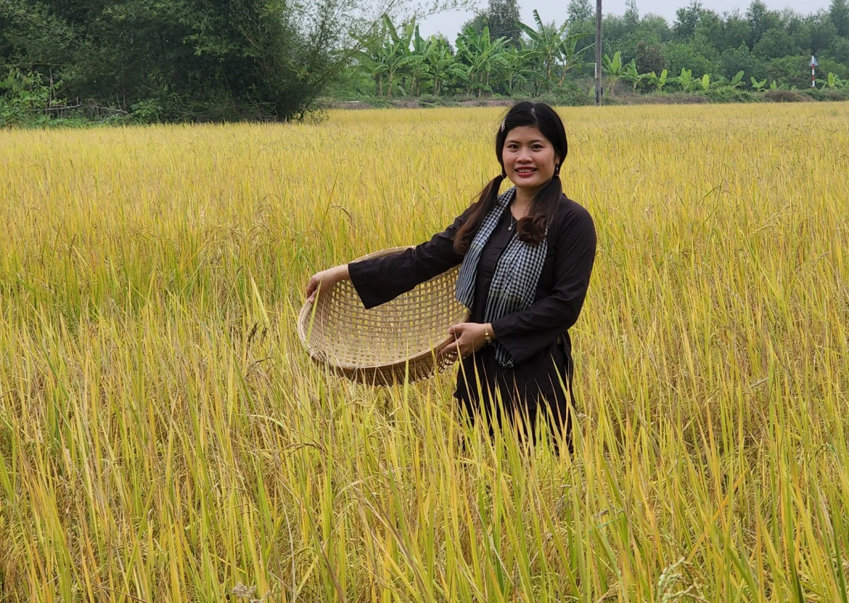 Chị đẹp Long An mang loại gạo ngon nhất thế giới về quê hương, biến cám gạo thành loại thực phẩm đắt hàng