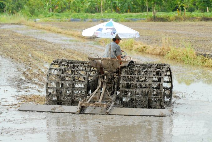 Nắng nóng thuận lợi cho thu hoạch lúa đông xuân