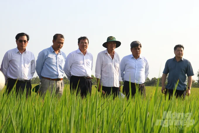 Kiện toàn khuyến nông cộng đồng, sẵn sàng triển khai Đề án 1 triệu ha lúa