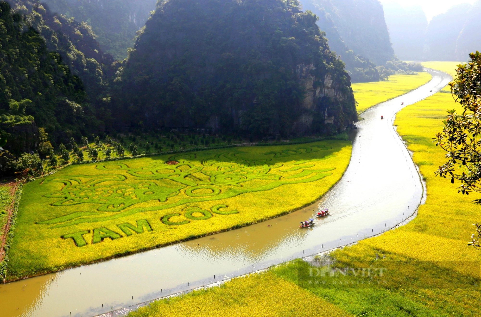 Lần đầu tiên, Ninh Bình tổ chức hội thi chọi cho con vật được nông dân tỉnh này nuôi nhiều