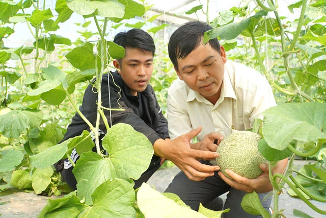 Vốn vay Quỹ Hỗ trợ nông dân giúp 2.000 hộ nông dân ở Đồng Tháp mở rộng quy mô sản xuất