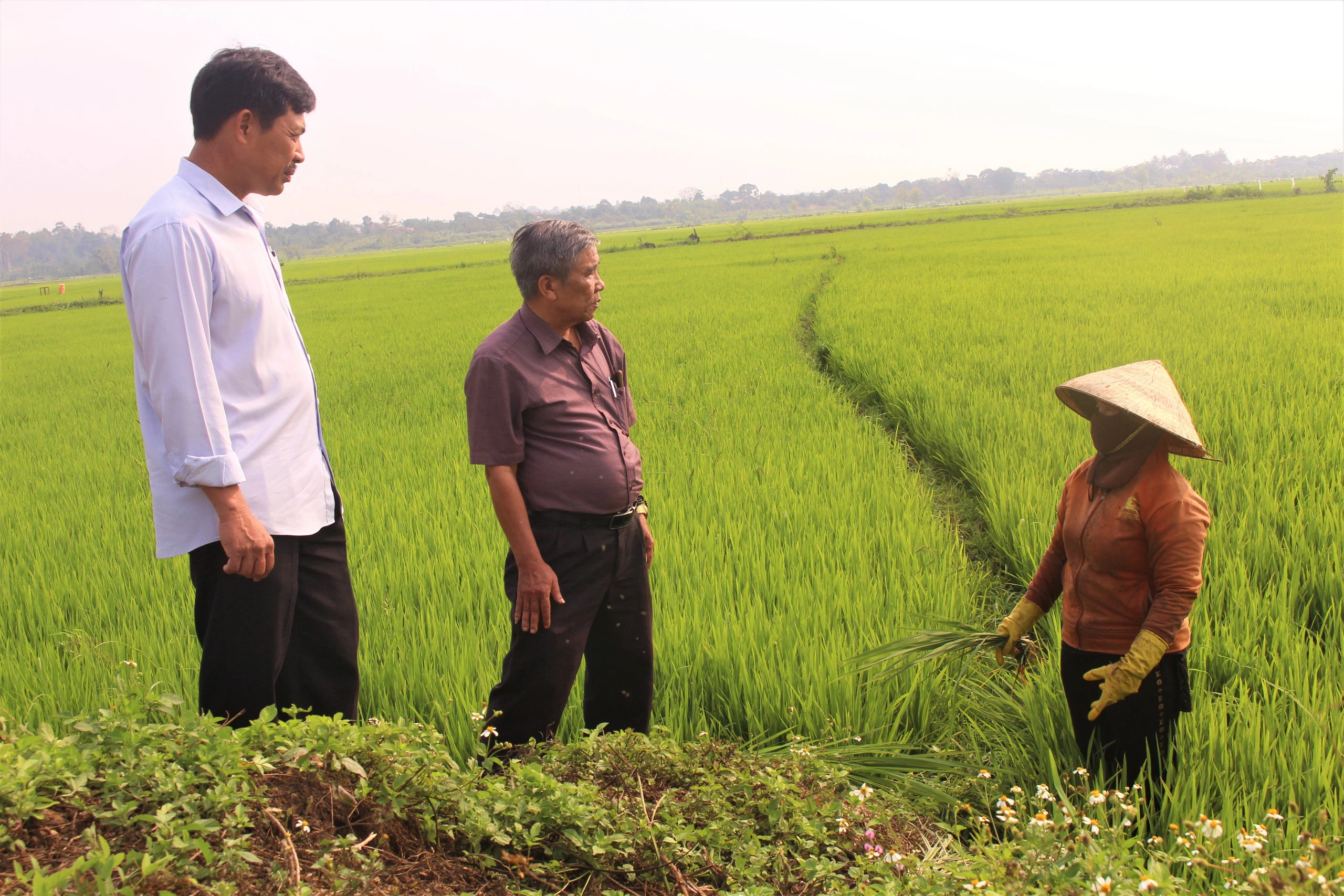 Gọi là chủ động ứng phó với khô hạn, vậy nông dân Đắk Lắk lấy nước ở đâu để tưới cây trồng?