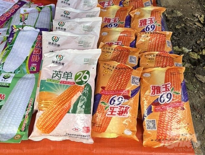 Tràn lan ngô giống không rõ nguồn gốc ở chợ phiên vùng cao