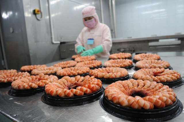 Quy định về một chỉ tiêu kháng sinh của Nhật Bản nghiêm gấp 10 lần thị trường khác, doanh nghiệp thủy sản Việt lo ngại