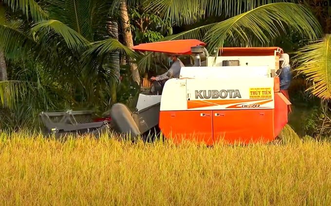 Việt Nam dẫn đầu về xuất khẩu gạo vào Singapore