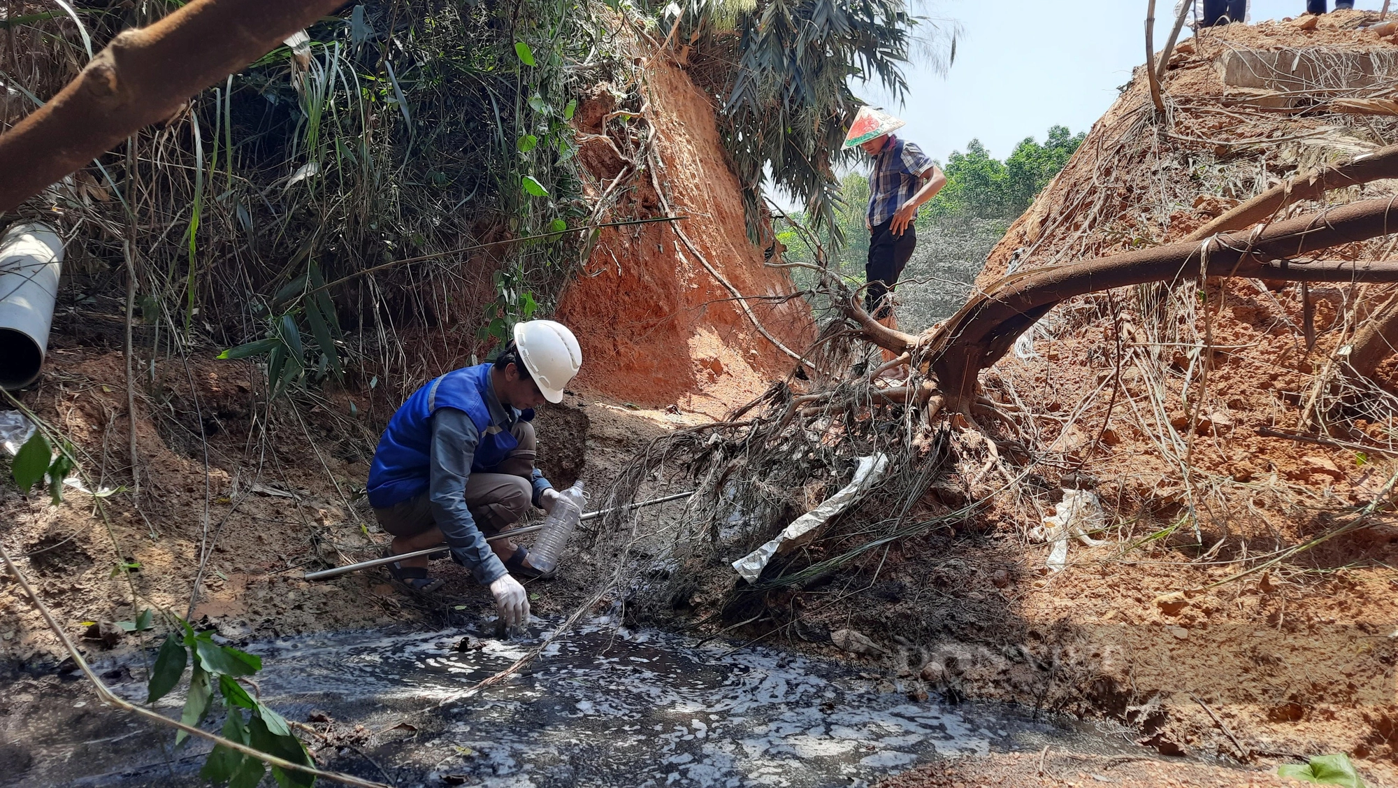 Xử phạt chủ trang trại nuôi lợn xả thải trái phép ở Quảng Trị khiến cá chết hàng loạt