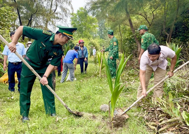 Thừa Thiên Huế: Hội Nông dân nhân rộng mô hình trồng dừa phòng hộ ven biển