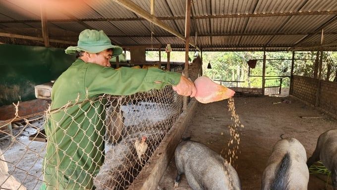 Nuôi sâu canxi, lão nông thu tiền tỷ